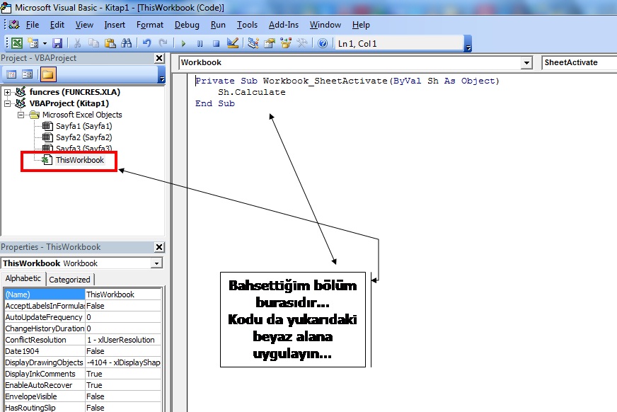 thisworkbook_ekrani.jpg