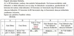 Ekcel Forum Örnek.jpg