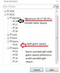 Filtrede Günlük Haftalık Ve Aylık Siparişler.jpg