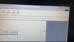 mouse.gif
