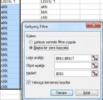 Gelişmiş Filtre.jpg