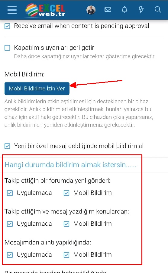 mobiladim4.jpg